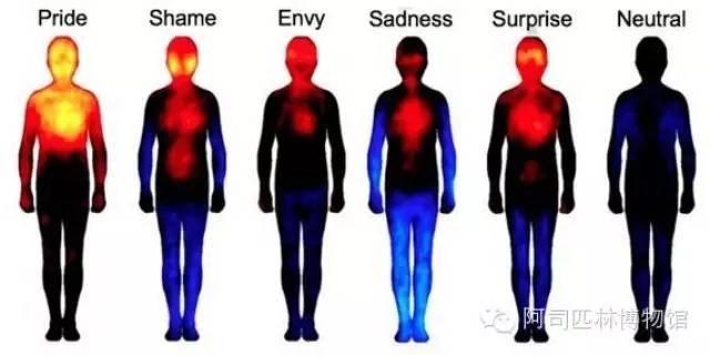 The apparent reaction of emotion in different parts of the body